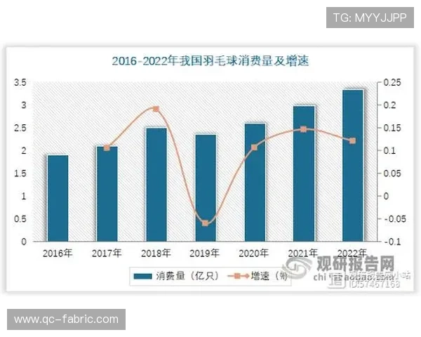 深入探讨北京羽毛球队的力量表现与数据分析的关系及其对比赛成绩的影响 深入探讨北京羽毛球队的力量表现与数据分析的关系及其对比赛成绩的影响
