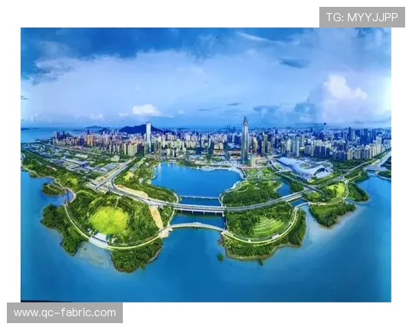 深圳乒乓球队的崛起之路与奋斗历程全景回顾
